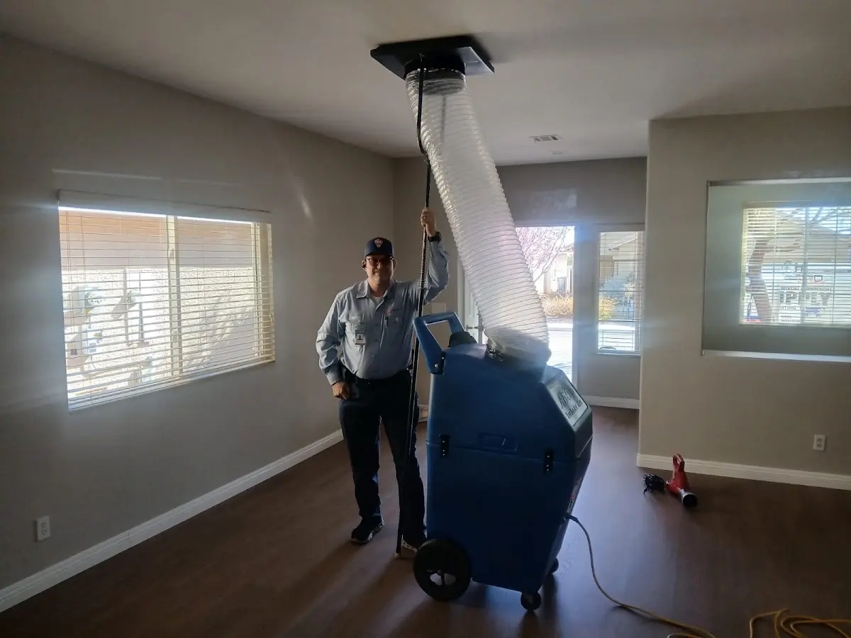 Professional Dryer Vent Cleaning work inside a Lewisboro home